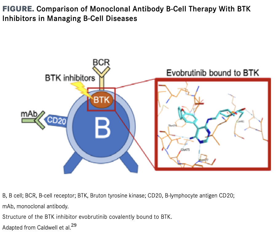 Targeting Bruton Tyrosine Kinase For Multiple Sclerosis Treatment ...